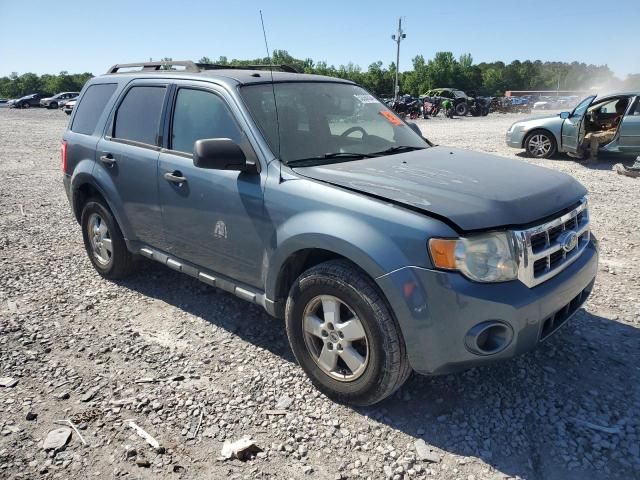 2010 Ford Escape XLT