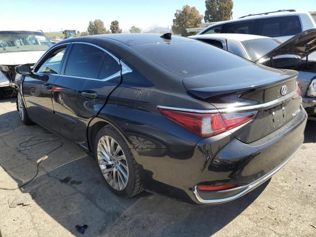 2019 Lexus ES 300H