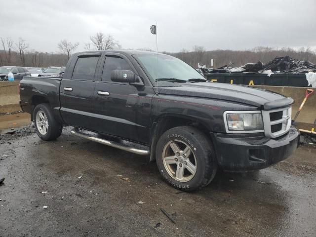 2010 Dodge Dakota SXT