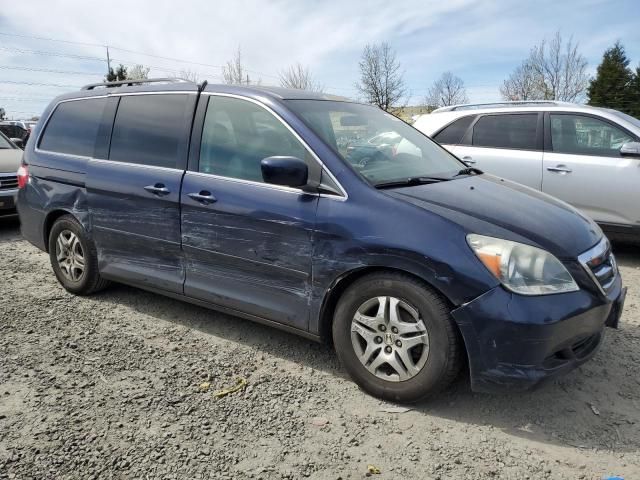 2005 Honda Odyssey EXL