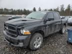 2010 Dodge RAM 1500