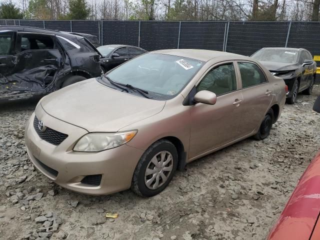 2009 Toyota Corolla Base