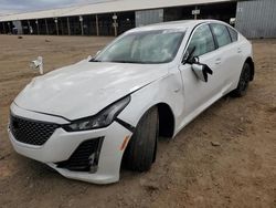 Salvage cars for sale at Phoenix, AZ auction: 2021 Cadillac CT5 Premium Luxury
