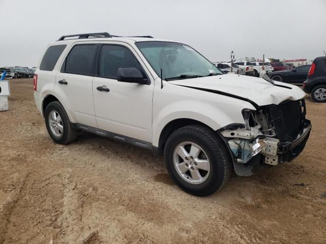 2011 Ford Escape XLS