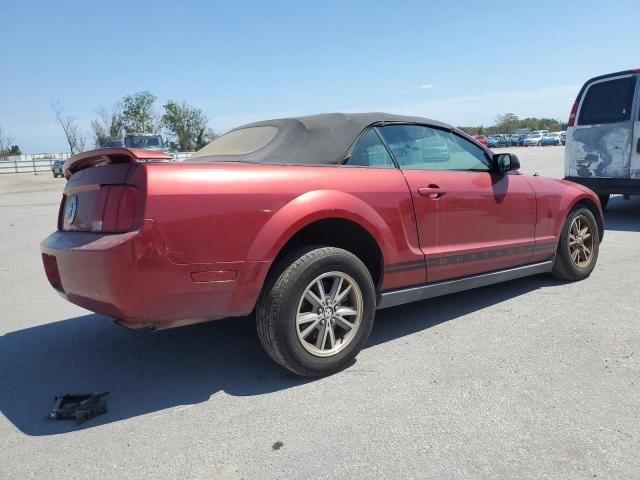 2005 Ford Mustang