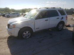 Salvage cars for sale at Lebanon, TN auction: 2008 Ford Escape XLT