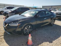 Nissan salvage cars for sale: 2021 Nissan Maxima SV