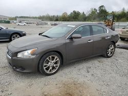 Nissan Maxima S salvage cars for sale: 2014 Nissan Maxima S