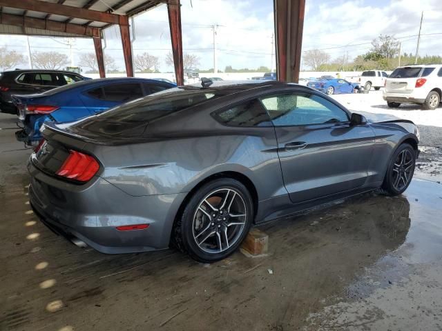 2023 Ford Mustang