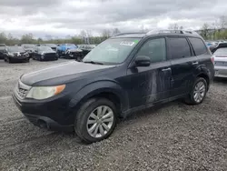 Subaru Forester Touring salvage cars for sale: 2012 Subaru Forester Touring