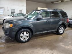 Ford salvage cars for sale: 2009 Ford Escape XLT