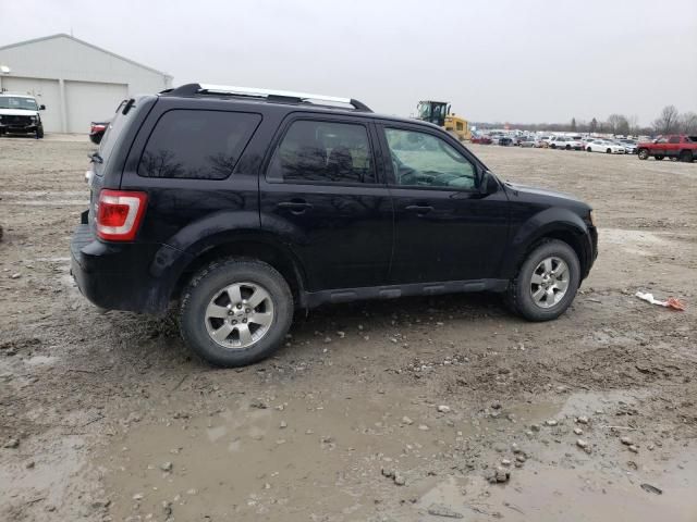 2010 Ford Escape Limited