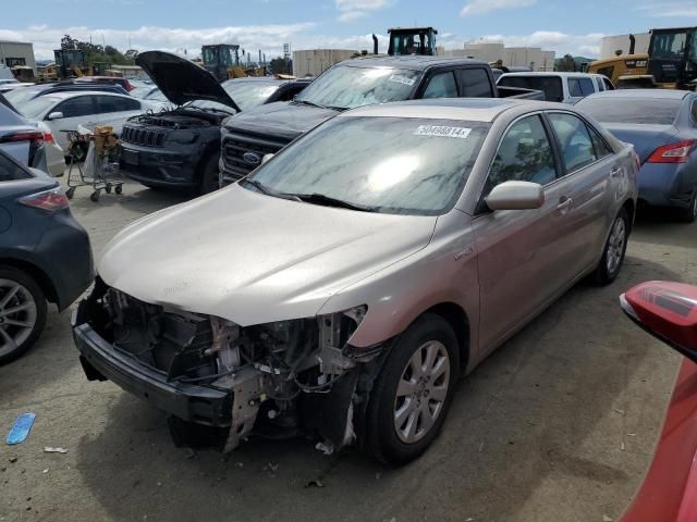 2009 Toyota Camry Hybrid