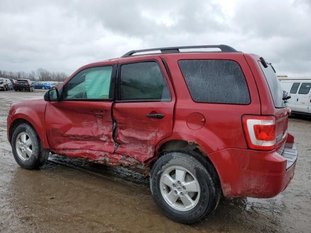 2011 Ford Escape XLT