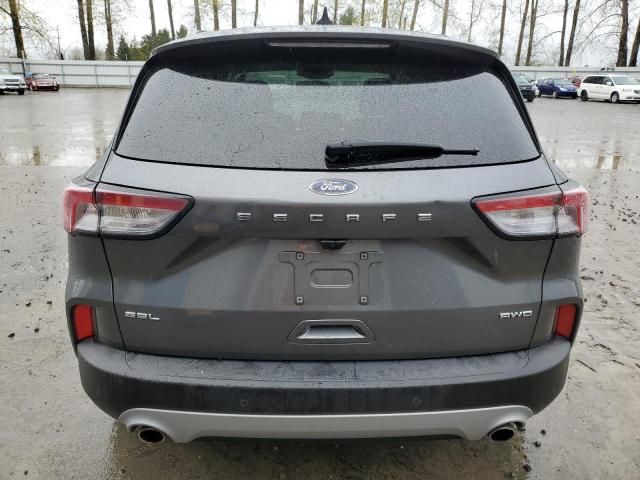 2021 Ford Escape SEL