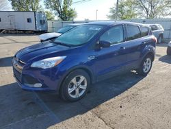 Salvage cars for sale at Moraine, OH auction: 2014 Ford Escape SE