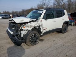 Salvage cars for sale at Ellwood City, PA auction: 2017 Jeep Renegade Trailhawk