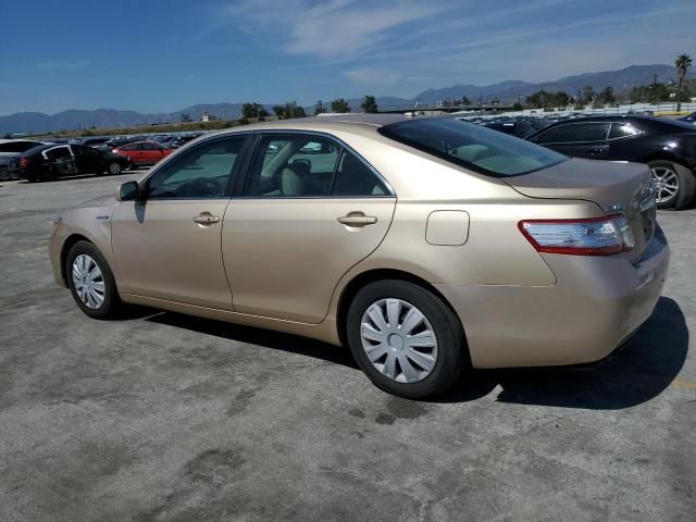 2011 Toyota Camry Hybrid