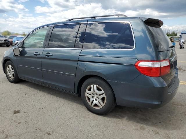 2005 Honda Odyssey EXL