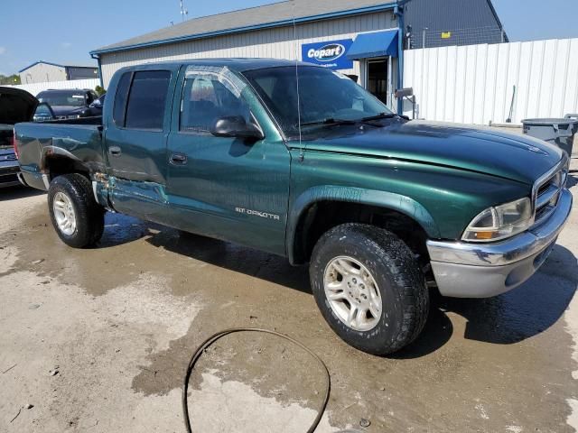 2001 Dodge Dakota Quattro