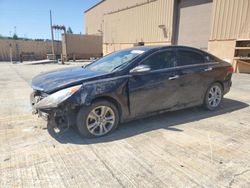 Hyundai Sonata salvage cars for sale: 2013 Hyundai Sonata SE