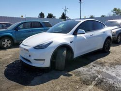Salvage cars for sale at Vallejo, CA auction: 2020 Tesla Model Y
