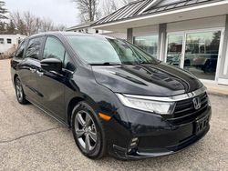 Honda Odyssey EX salvage cars for sale: 2022 Honda Odyssey EX