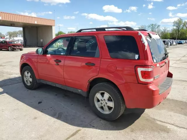 2009 Ford Escape XLT