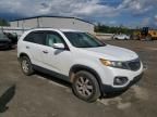 2011 KIA Sorento Base