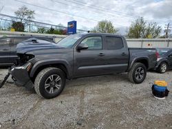 Salvage cars for sale at Walton, KY auction: 2019 Toyota Tacoma Double Cab