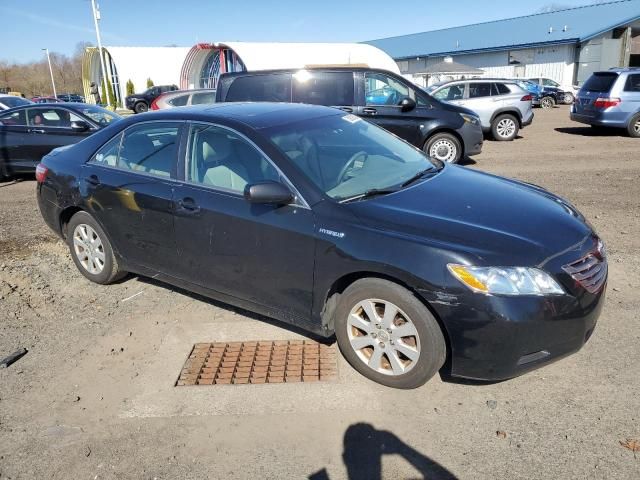 2009 Toyota Camry Hybrid