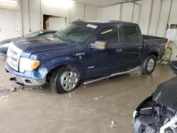 Salvage cars for sale at Madisonville, TN auction: 2013 Ford F150 Supercrew