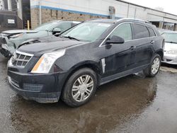 Salvage cars for sale from Copart New Britain, CT: 2011 Cadillac SRX Luxury Collection