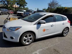 Ford Focus SE salvage cars for sale: 2014 Ford Focus SE