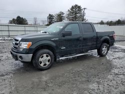 2014 Ford F150 Supercrew for sale in Albany, NY