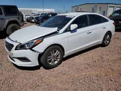 Salvage cars for sale at Phoenix, AZ auction: 2017 Hyundai Sonata SE