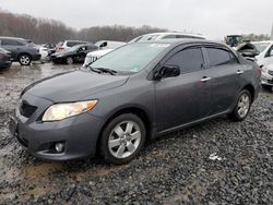 Salvage cars for sale from Copart Windsor, NJ: 2010 Toyota Corolla Base