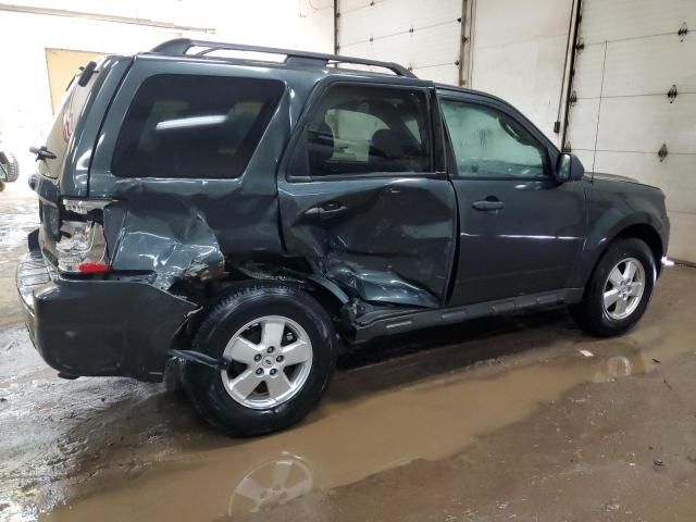 2009 Ford Escape XLT