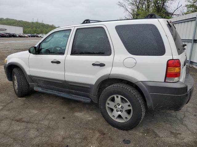 2005 Ford Escape XLT