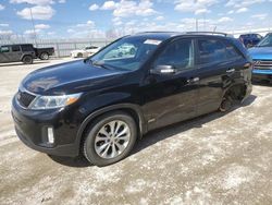 Salvage cars for sale from Copart Nisku, AB: 2014 KIA Sorento EX