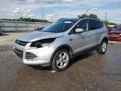Salvage cars for sale from Copart Montgomery, AL: 2014 Ford Escape SE