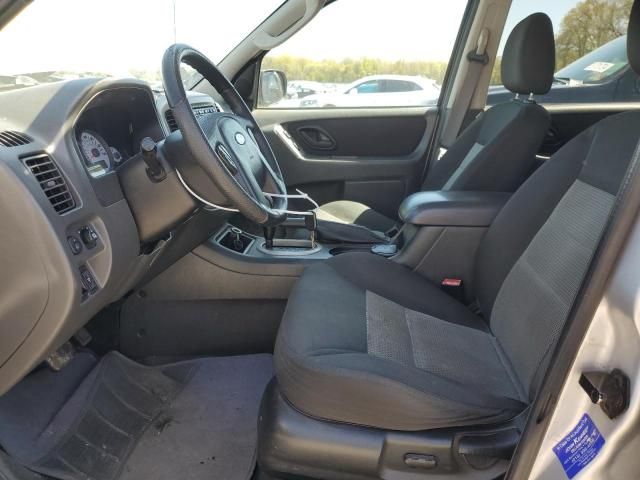 2007 Ford Escape XLT