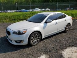 Salvage cars for sale from Copart Finksburg, MD: 2015 KIA Cadenza Premium