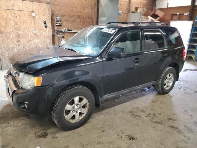 2010 Ford Escape Limited