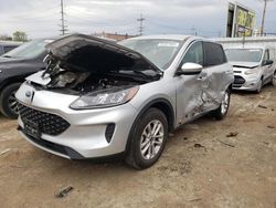 Salvage cars for sale from Copart Chicago Heights, IL: 2020 Ford Escape SE