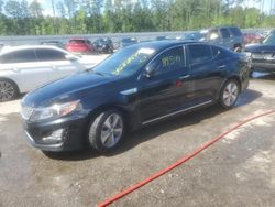 KIA Optima Hybrid salvage cars for sale: 2016 KIA Optima Hybrid