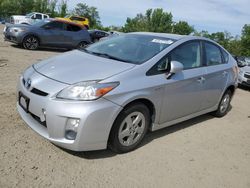 Salvage cars for sale at Baltimore, MD auction: 2010 Toyota Prius