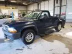 2004 Dodge Dakota SXT