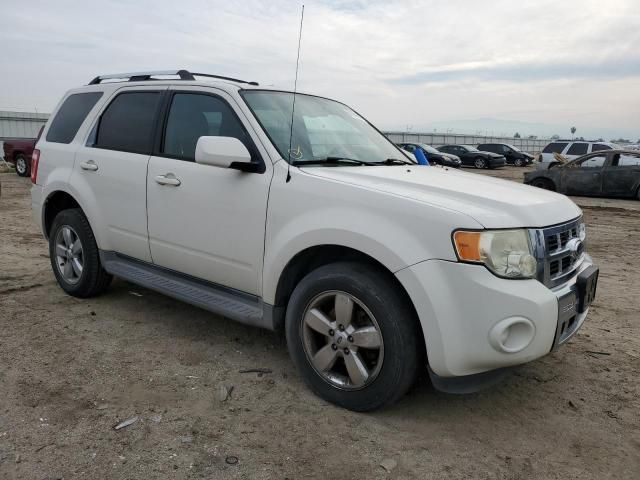 2009 Ford Escape Limited