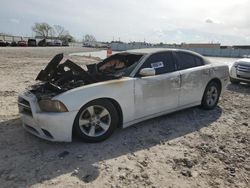 Salvage cars for sale at Haslet, TX auction: 2013 Dodge Charger SE